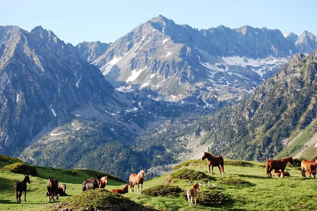 Refugi Del Gerdar Albergue Sorpe Hostal